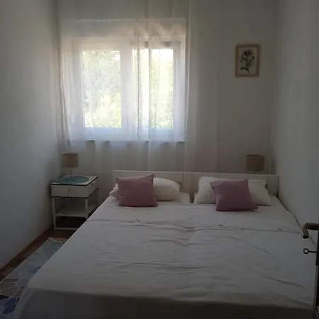 Jela Pakostane