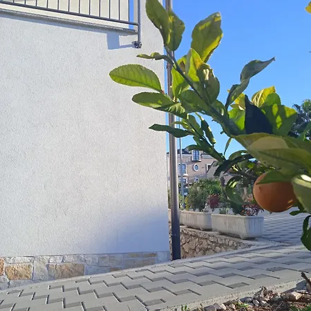 Apartment Jela Pakostane